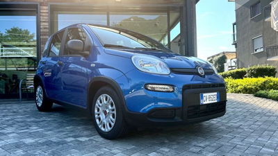 Fiat Panda Cross Cross 1.0 FireFly S&S Hybrid  nuova