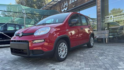 Fiat Panda 1.0 FireFly S&S Hybrid Easy