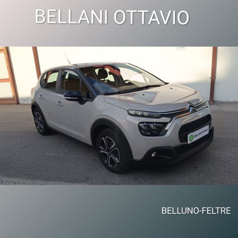 Citroen C3 BlueHDi 100 S&S You
