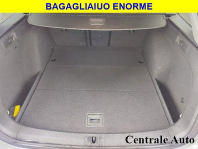Volkswagen Golf Variant 1.6 TDI 110 CV DSG Highline BMT (19)