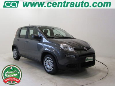 fiat panda 1.0 firefly hybrid s&s 70cv 5p.ti