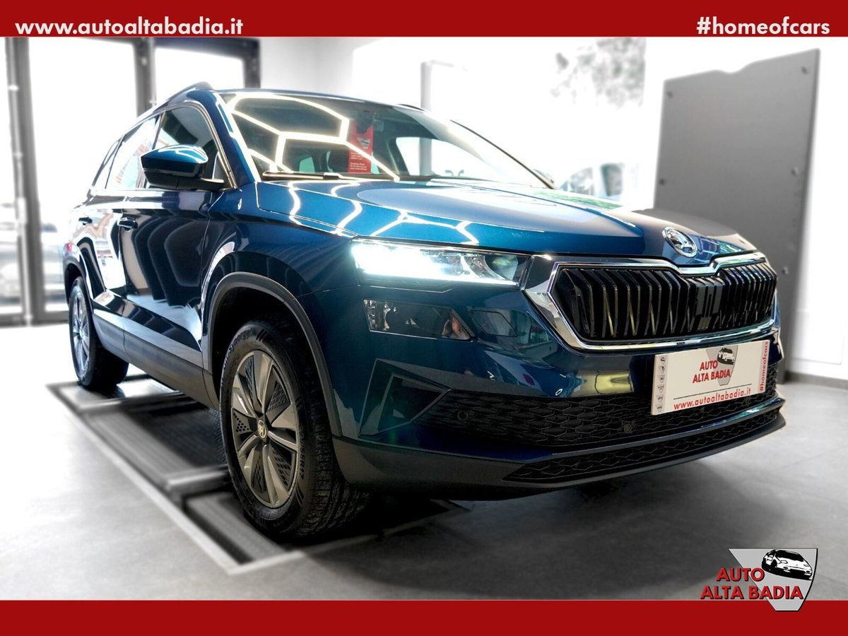Skoda Karoq 2.0 tdi Executive 4x4 150cv dsg (3)