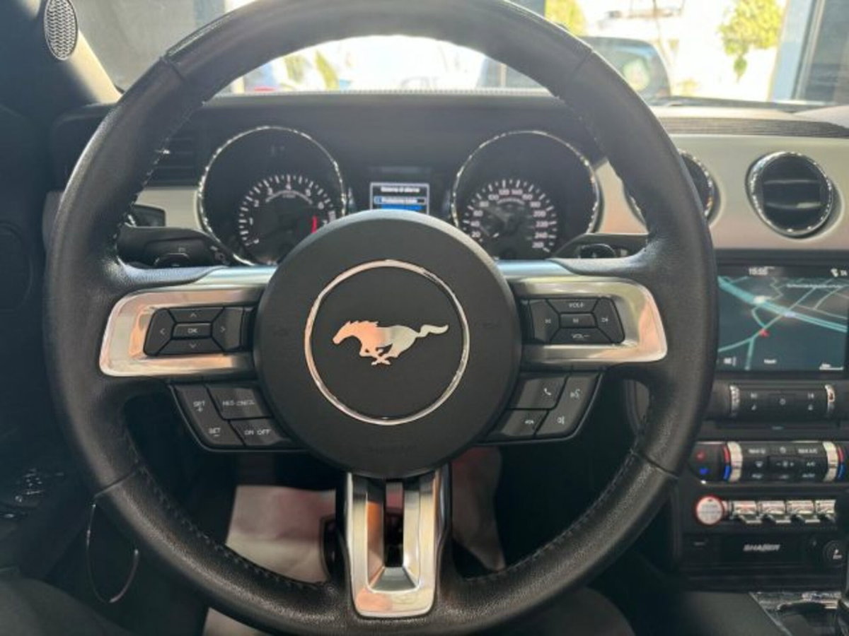 Ford Mustang Cabrio Convertible 2.3 EcoBoost (10)