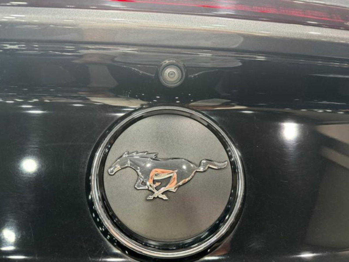 Ford Mustang Cabrio Convertible 2.3 EcoBoost (12)