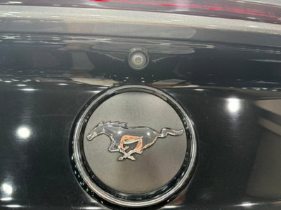 Ford Mustang Cabrio Convertible 2.3 EcoBoost (12)