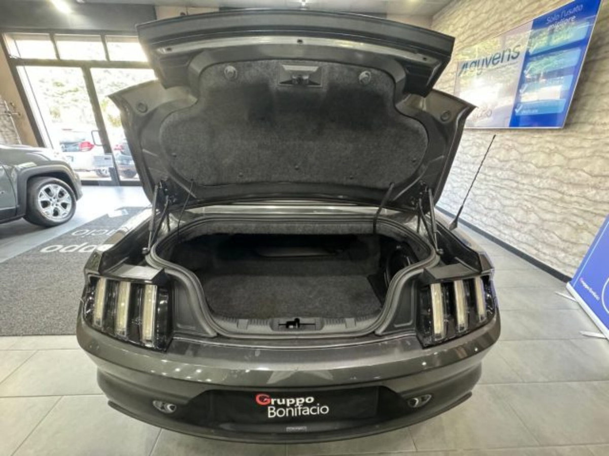 Ford Mustang Cabrio Convertible 2.3 EcoBoost (7)