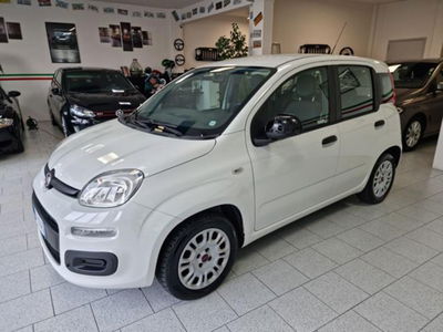 Fiat Panda 1.2 EasyPower Easy 