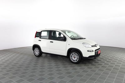 Fiat Panda Cross Cross 1.0 FireFly S&S Hybrid  nuova