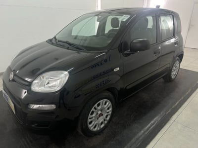 Fiat Panda 1.0 firefly hybrid s&s 70cv 5p.ti usata