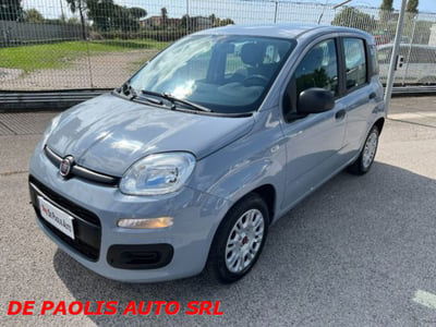 Fiat Panda 1.0 firefly hybrid s&s 70cv 5p.ti usata