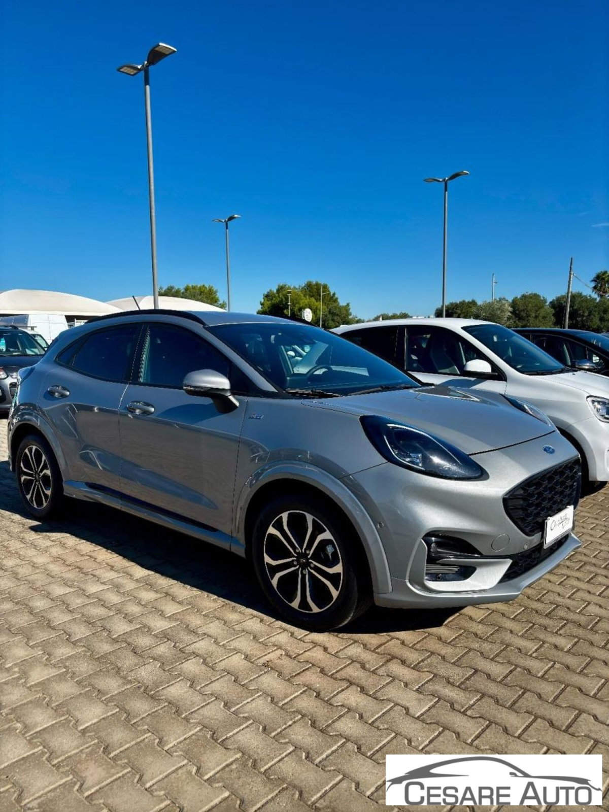 Ford Puma 1.5 EcoBlue 120 CV S&S ST-Line (2)