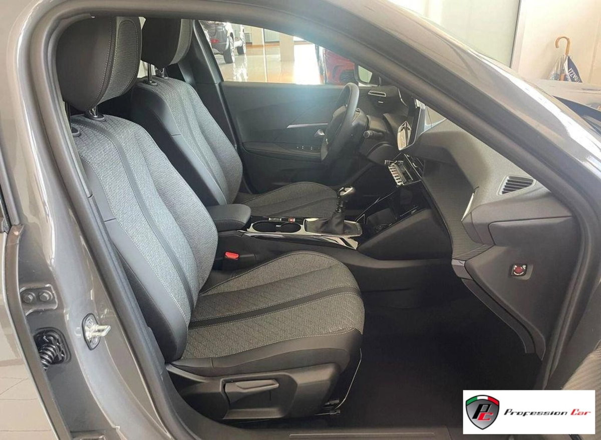 Peugeot 2008 Turbo 110 S&S Allure (11)