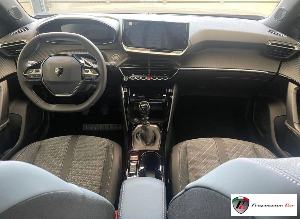 Peugeot 2008 Turbo 110 S&S Allure (12)