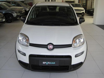 Fiat Panda 1.0 firefly hybrid s&s 70cv 5p.ti (2)