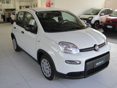 Fiat Panda 1.0 firefly hybrid s&s 70cv 5p.ti (3)