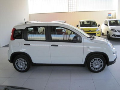 Fiat Panda 1.0 firefly hybrid s&s 70cv 5p.ti (4)