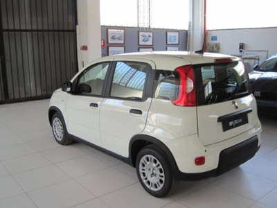 Fiat Panda 1.0 firefly hybrid s&s 70cv 5p.ti (7)
