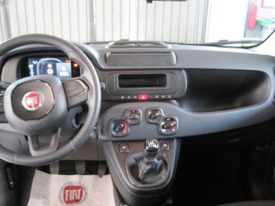 Fiat Panda 1.0 firefly hybrid s&s 70cv 5p.ti (8)