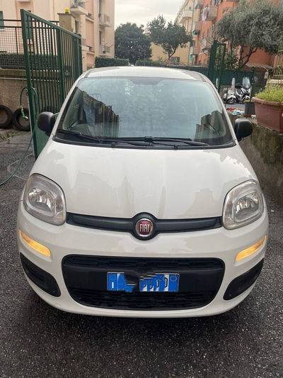 Fiat Panda 1.2 Easy  usata