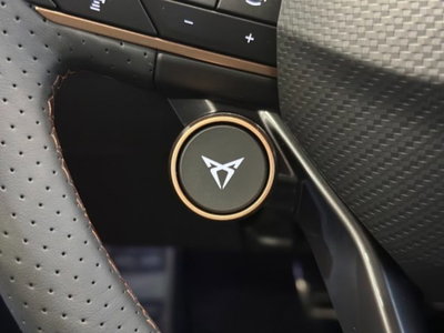 Cupra Formentor 2.0 tsi VZ 4drive 333cv dsg (19)