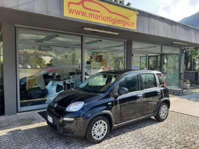 Fiat Panda 1.0 firefly hybrid s&s 70cv 5p.ti usata