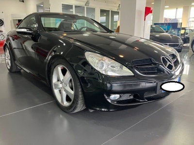 Mercedes-Benz SLK 200 Kompressor cat (10)