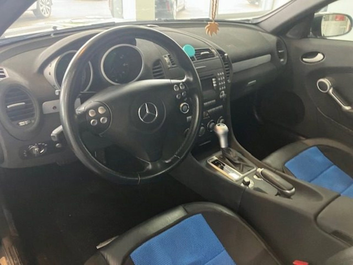 Mercedes-Benz SLK 200 Kompressor cat (18)