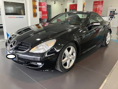 Mercedes-Benz SLK 200 Kompressor cat (3)