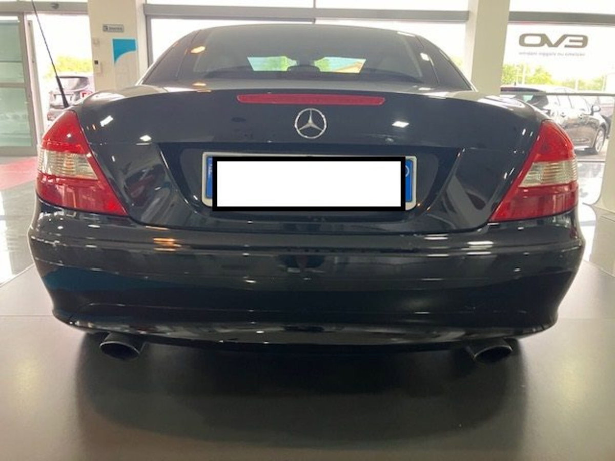 Mercedes-Benz SLK 200 Kompressor cat (6)