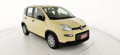 fiat panda 1.0 firefly hybrid s&s 70cv 5p.ti