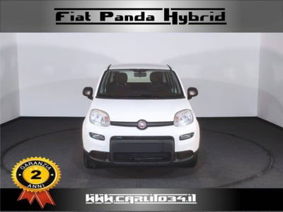 Fiat Panda 1.0 firefly hybrid s&s 70cv 5p.ti nuova