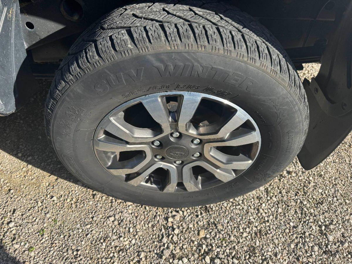 Ford Ranger Pick-up Ranger 2.2 TDCi aut. DC Wildtrak 5pt. (10)