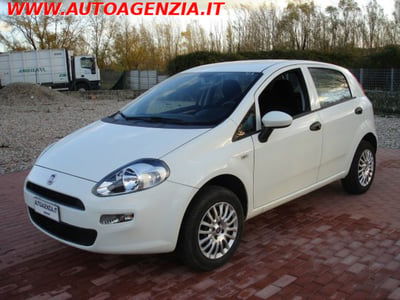 Fiat Punto 1.4 8V 5 porte Natural Power Virgin Radio usata