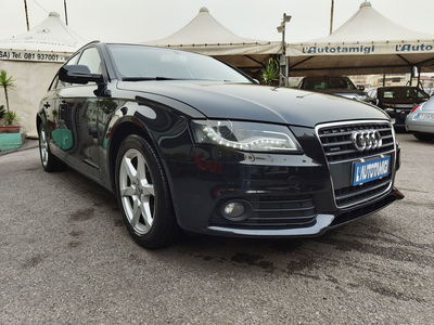 Audi A4 2.0 TDI 177 CV quattro Advanced usata