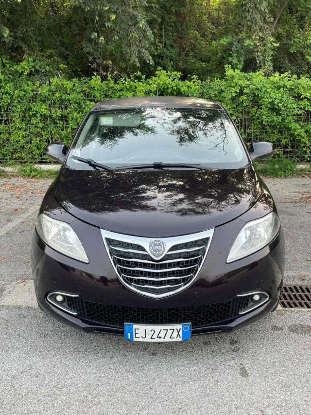 Lancia Ypsilon 1.2 69 CV 5 porte Silver (2)