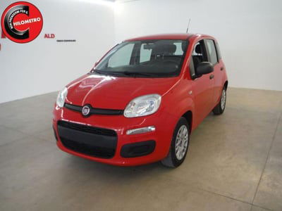 Fiat Panda 1.2 Easy usata