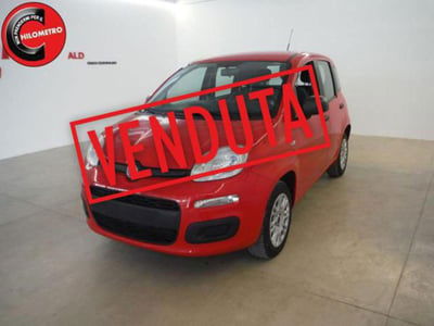 Fiat Panda 1.2 Easy usata