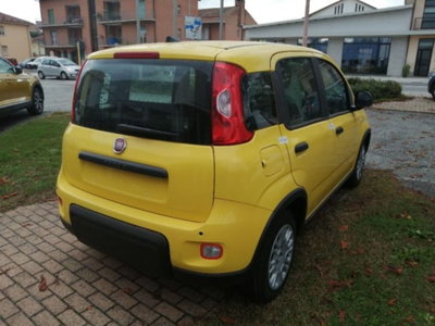 Fiat Panda 1.0 firefly hybrid s&s 70cv (2)