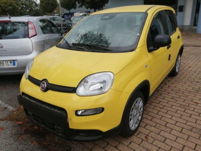 Fiat Panda 1.0 firefly hybrid s&s 70cv (5)