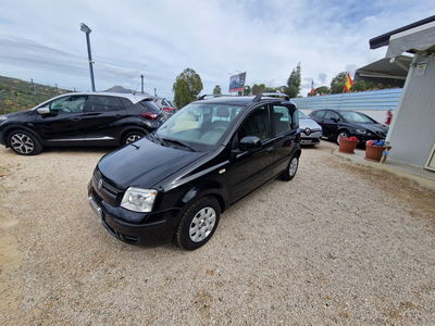 Fiat Panda 1.2 Dynamic usata