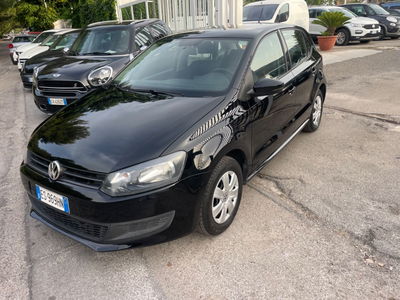 Volkswagen Polo 1.2 5 porte Trendline usata