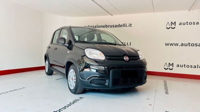 Fiat Panda Cross Cross 1.0 FireFly S&S Hybrid  nuova