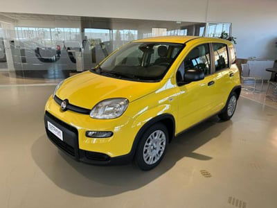 Fiat Panda 1.0 firefly hybrid s&s 70cv 5p.ti
