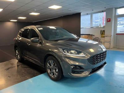 Ford Kuga 2.0 EcoBlue 120 CV aut. 2WD ST-Line X usata