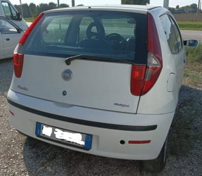 Fiat Punto 1.3 MJT 16V 3 porte 4p.ti Active Van (3)
