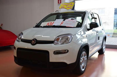 fiat panda 1.0 firefly hybrid s&s 70cv 5p.ti