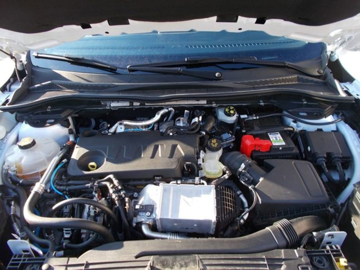 Ford Kuga 2.0 EcoBlue Hybrid 150 CV 2WD Titanium (15)