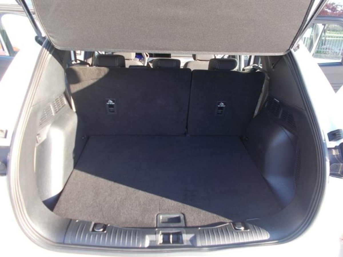 Ford Kuga 2.0 EcoBlue Hybrid 150 CV 2WD Titanium (16)