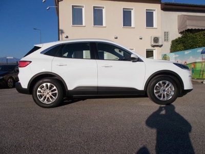 Ford Kuga 2.0 EcoBlue Hybrid 150 CV 2WD Titanium (5)