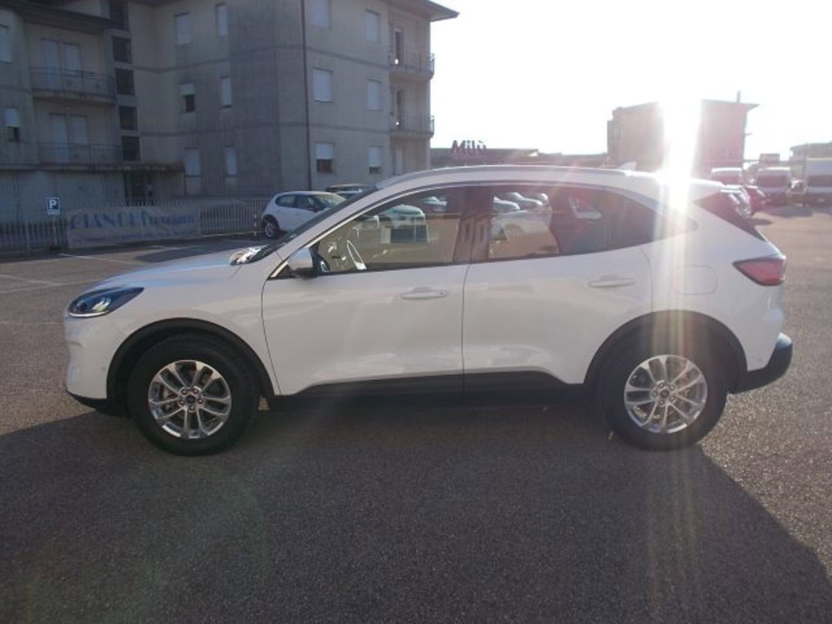 Ford Kuga 2.0 EcoBlue Hybrid 150 CV 2WD Titanium (7)